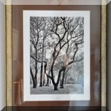 A12. Framed photo ”Rice Oak” by Gary F. 29”h x 24”w - $75 